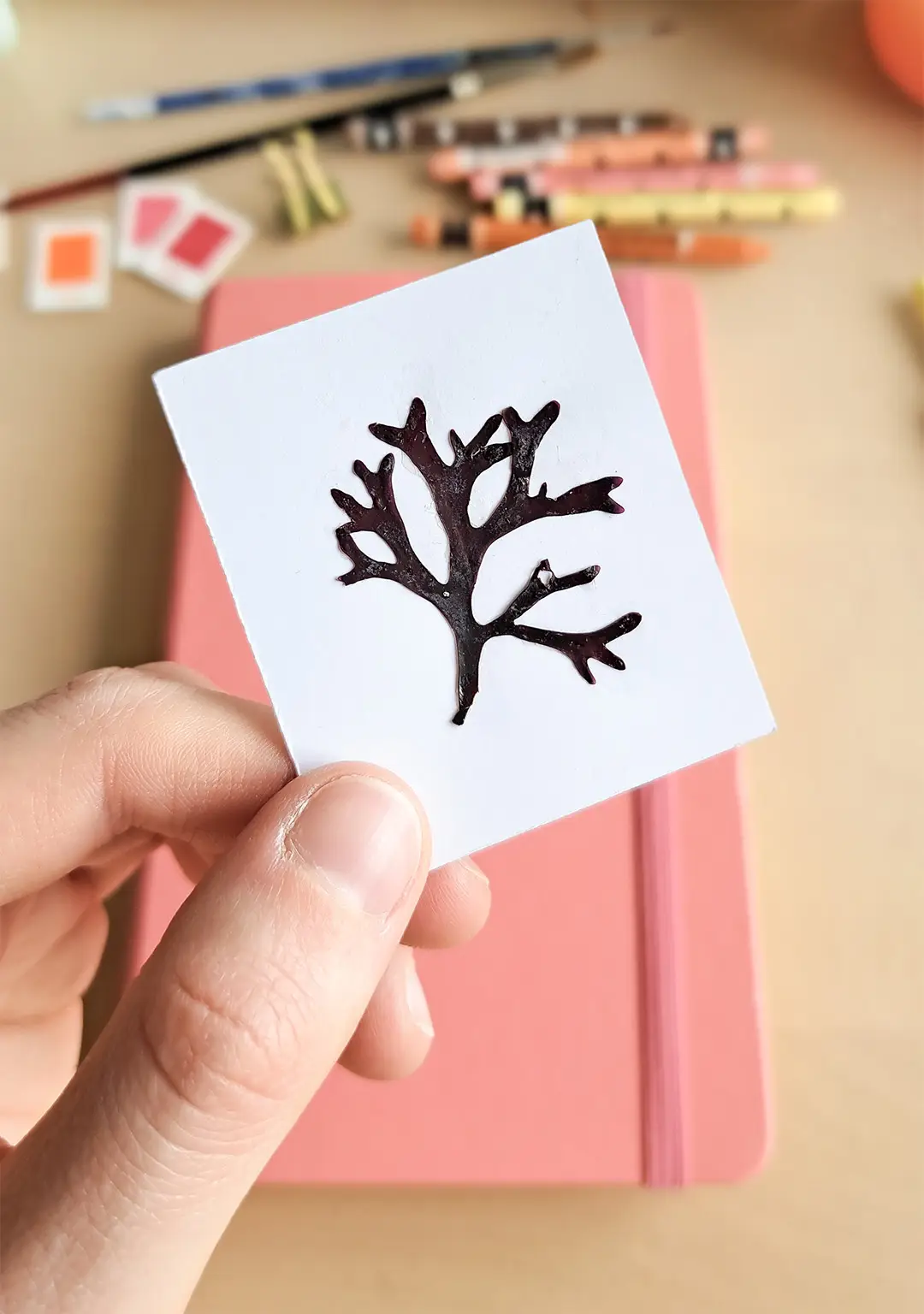 Petite algue trouvée sur la plage maintenant collée sur une petite feuille de papier.